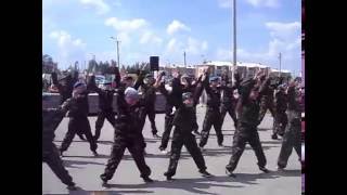 Флэш-моб Флэш-моб