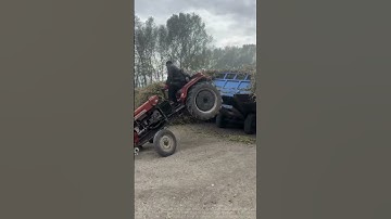 Demonstrates the practical wisdom of mechanical equilibrium