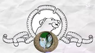 Daga Ng Bahay Bubuwitnahuli Sa Mga Alaga Kung Si Kuykuy At Budo Chuchu