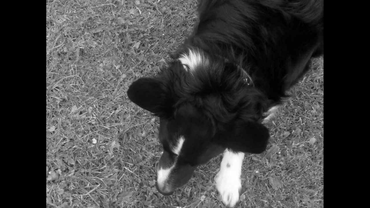 If It Means Alot To You (HND Sound Production Video Project)