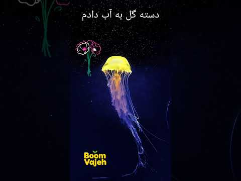راز یک هدیه هایکو فاطمه محرمی خانقاه