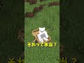 【検証】それって本当？④【マイクラ】【ゆっくり実況】
