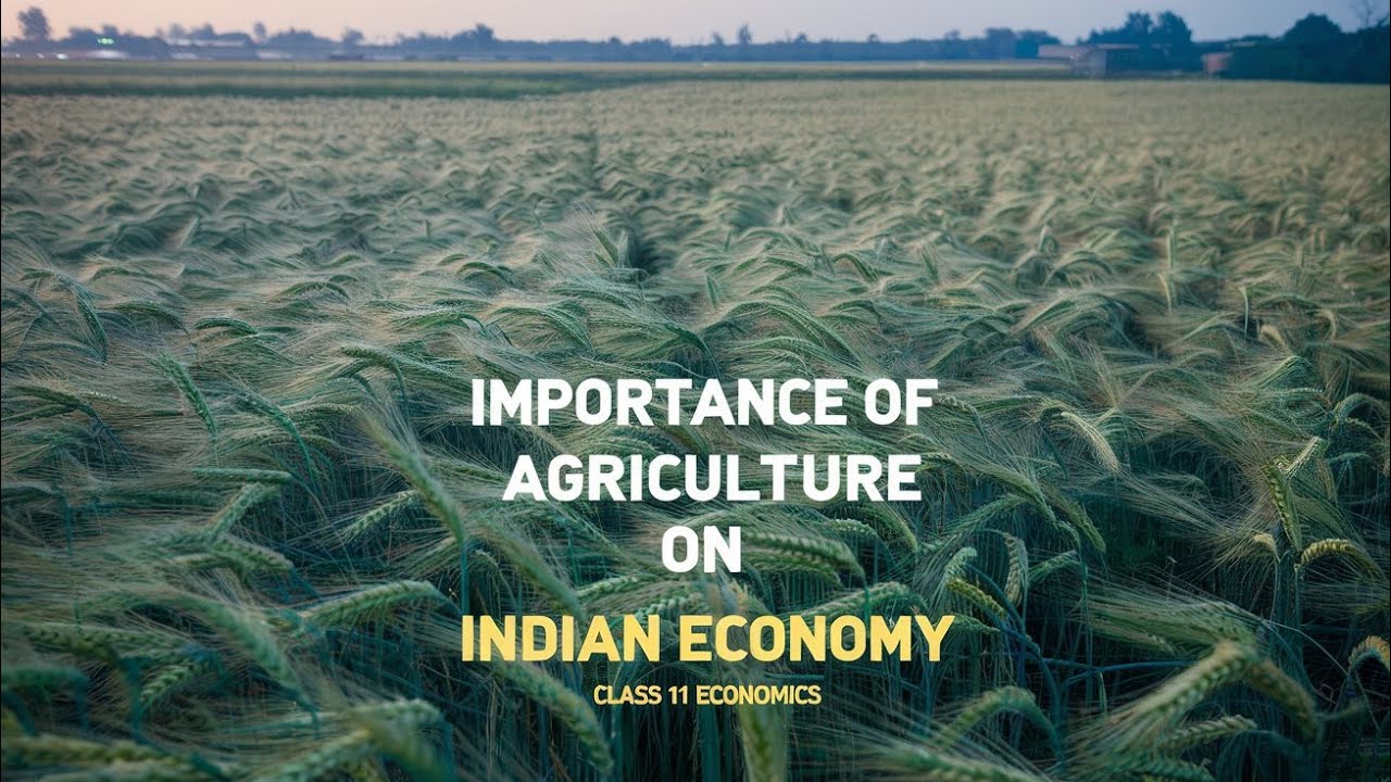 Class 11 Economics - Contribution of agriculture sector in Indian Economy - Chapter 2