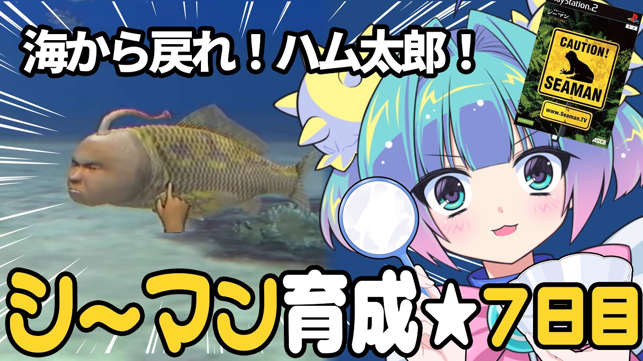 ７日目！【シーマン】きょうこそ水槽にもどすぞ～～～！鼻声でも意思疎通はできるのか・・・！？