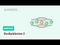 Dyslipidämien Teil 2 – Cholesterin und Cholesterinbiosynthese -- AMBOSS Auditor