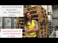 Как сделать бизнес экологичным? IKEA делится 3 главными секретами!