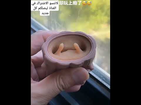 لاتذهبالن بعيدا النية النيه 