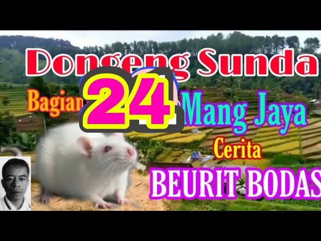 Dongeng Sunda Mang Jaya Cerita BEURIT BODAS bagian ke 24 class=