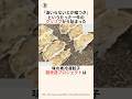 「嘘つきと罵倒された味の素が超改造した」冷凍餃子に関する雑学 #雑学