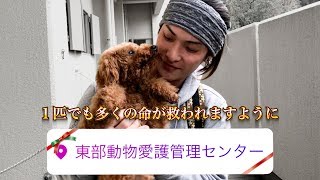 180117_動物愛護センター・ボランティア活動