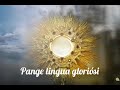 Pange lingua gloriosi corporis mysterium - Canto gregoriano ( Video con letra en latin )