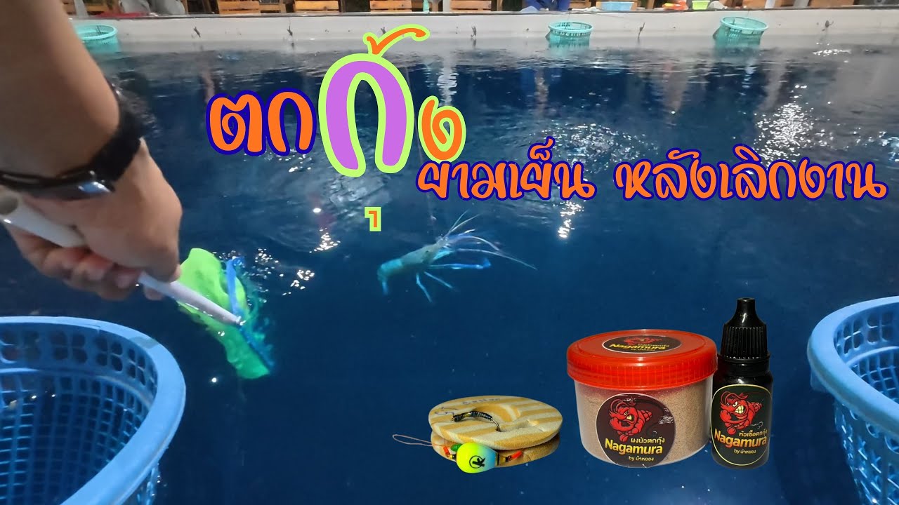 Ep.38 ตกกุ้งยามเย็นหลังเลิกงาน #ตกกุ้ง #ตกกุ้งบ่อปูน #เบสตกทุกอย่าง #กัปตันบ่อตกกุ้ง 