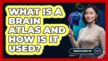 What Is A Brain Atlas And How Is It Used?