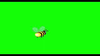Bee animation / Green screen /4K/Full HD
