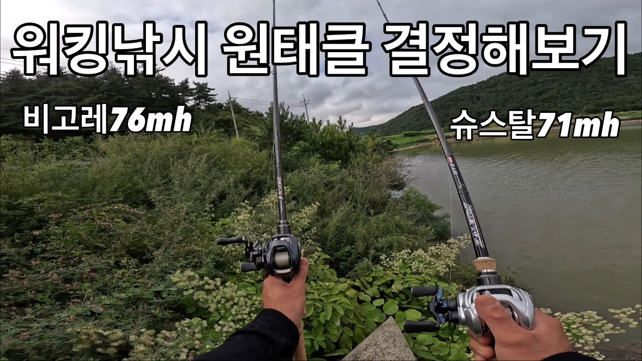 배스 워킹 낚시 원태클 당신의 선택은?