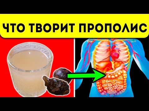 Доктор был удивлён! Что творит даже 1 ч. ложка Прополиса с организмом