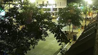 1WebsiteNow LIVE Downtown DeLand South Woodland Blvd 2026-08-17 12 AM ET
