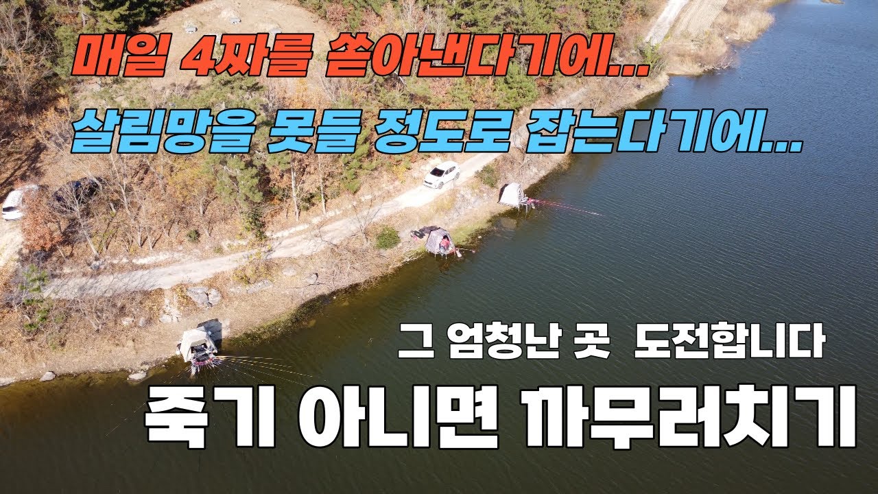 여기가 그 엄청난 곳인가 봅니다// 매일 4짜가 폭발한다던#big fishing