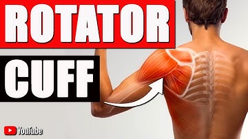 Rotator Cuff Pain l 5 Best Rotator Cuff Rehab Exercises & Stretches for Shoulder Tear Relief