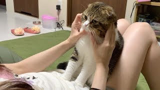 ママにマッサージしてもらう猫
