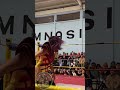 No lo esperaba #luchalibre #wrestling #luchalibremexicana #shorts #shortvideo #viral