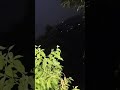 Mayi ry #viralvideo #love #viralshort #duet #tree #green
