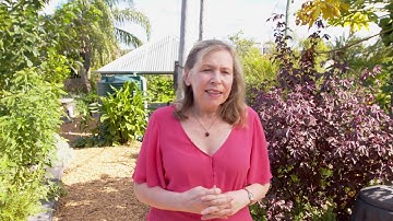 The importance of ‘third places’ in our cities