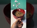 DIY mini Flower Tree With Foam Clay 🌸| Simple And Cute Decoration 