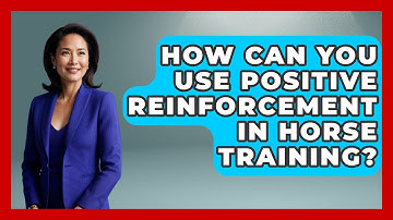 How Can You Use Positive Reinforcement in Horse Training? | The Horses Stable