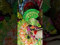 Radhe Radhe laddu Gopal Ji #music #live #devotionalsongs #shyam