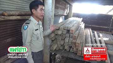 ปูพรมพื้นที่ป่าบ้านแม่ลานเจอมอดไม้ลักลอบแปรรูป