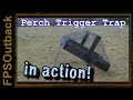 Perch Trigger Cage Animal Trap in Action!