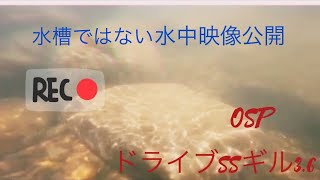 OSP DOLIVE SS GILL （ドライブSSギル）水中映像