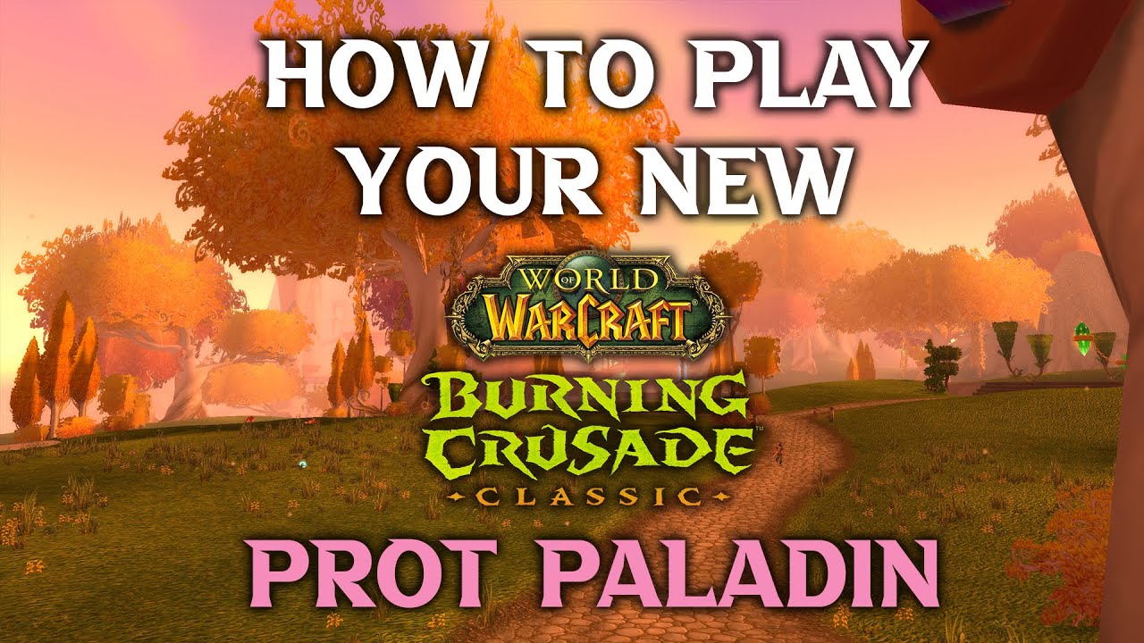 How to Play Your New Prot Paladin Tank