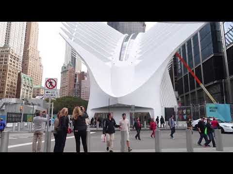 Efterslægten: NEW YORK,