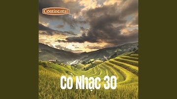 Độc Tấu Lục Huyền Cầm