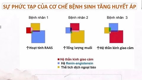 TĂNG HUYẾT ÁP: KHOẢNG CÁCH TỪ LÝ THUYẾT ĐẾN THỰC HÀNH | TS.BS. TÔN THẤT MINH