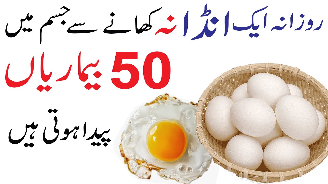 Anda Khane ke Fayde Egg Khane ke Fayde Egg Na Khane se Kya Nuksanat