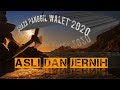Suara Panggil Walet Asli Dan Jernih Arief Budiman Mp3 - Mp4 Download