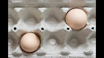 Qu'est-ce qu'un œuf calibre à ?