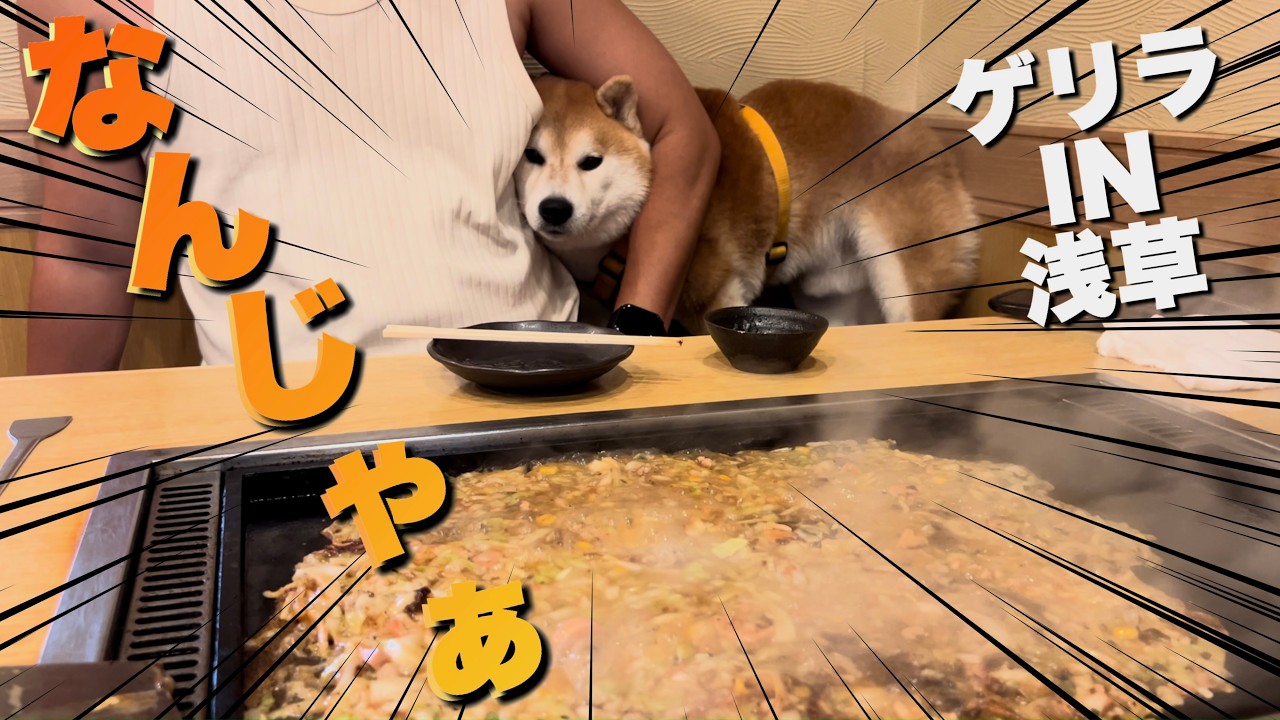 【浅草パニック】外国人の波をかき分け、柴犬ともんじゃを食べに行った結果…