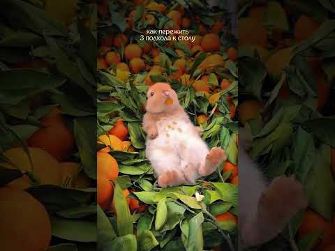Если третий подход