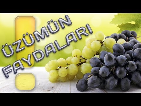 Video: Üzüm: Faydaları Və əks Göstərişləri