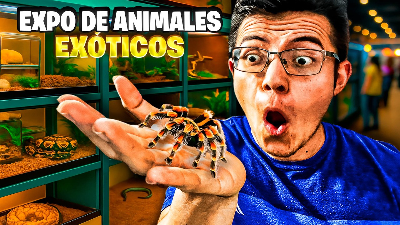 ¡INCREÍBLE EXPO de ANIMALES EXÓTICOS en León, Guanajuato! 🐍🦎🐸 ¡Vimos de TODO!🔍 (tour)