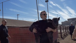 Joaquin Phoenix Saves Mother and Baby Cow from Slaughterhouse Day After Oscars Speech