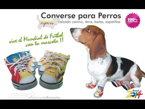 ✨ Zapatos converse animal print para mascotas - aPreciosdeRemate - YouTube