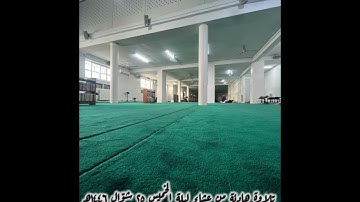 تلاوة للقارئ جمال الدين خير من صلاة عشاء ليلة الخميس ٢٥ شوال ١٤٤٦ هـ #اكسبلور #لايك #قرآن