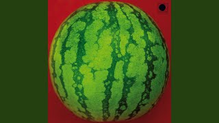 Download Lagu Tambourhinoceros Jam MP3