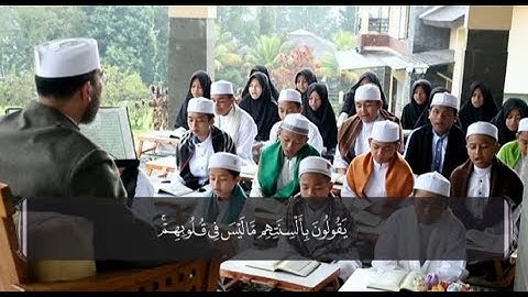 الكتاب الكبير - جزء الأحقاف|| سورة محمد (2) الشيخ حسن السكندري