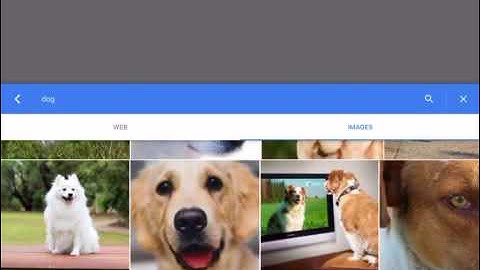 Insert Image Google Docs (Ipad)
